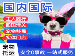 桂林航空空运国际宠物托运 【国